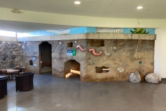 Belle Isle Nature Center