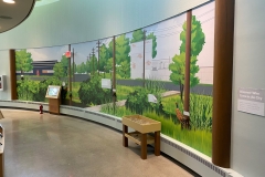 Belle Isle Nature Center