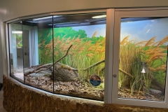 Belle Isle Nature Center