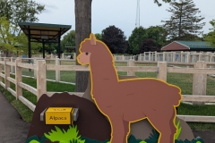 Animal ID: Alpaca