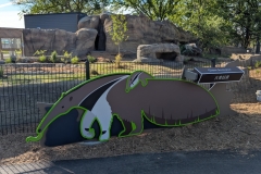 Animal ID: Anteater