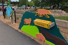 Animal ID: Bush Dog