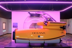 OX-18