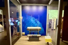 Image Courtesy of Flying Fish