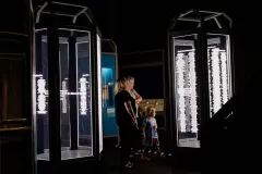 Image Courtesy of Flying Fish