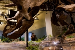 Courtesy of Glazer Children\'s Museum