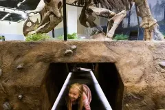 Courtesy of Glazer Children\'s Museum