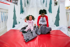 Journey to the North Pole