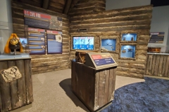 Medal of Honor Museum