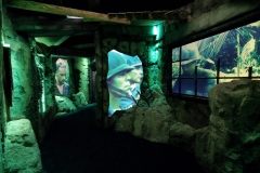 Medal of Honor Museum