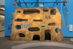 Muncie Ant Wall