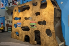 Muncie Ant Wall