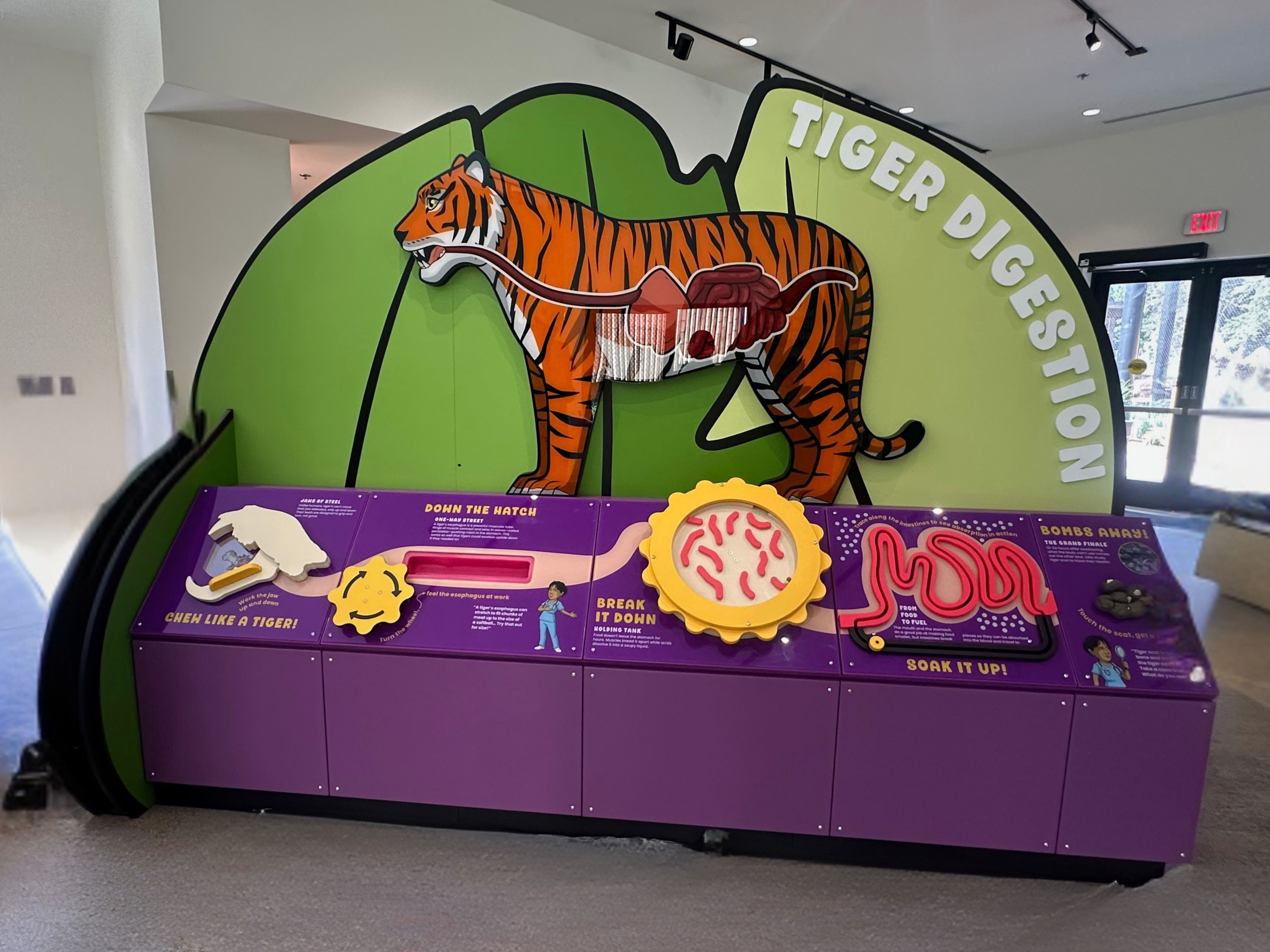 Tiger Digestion